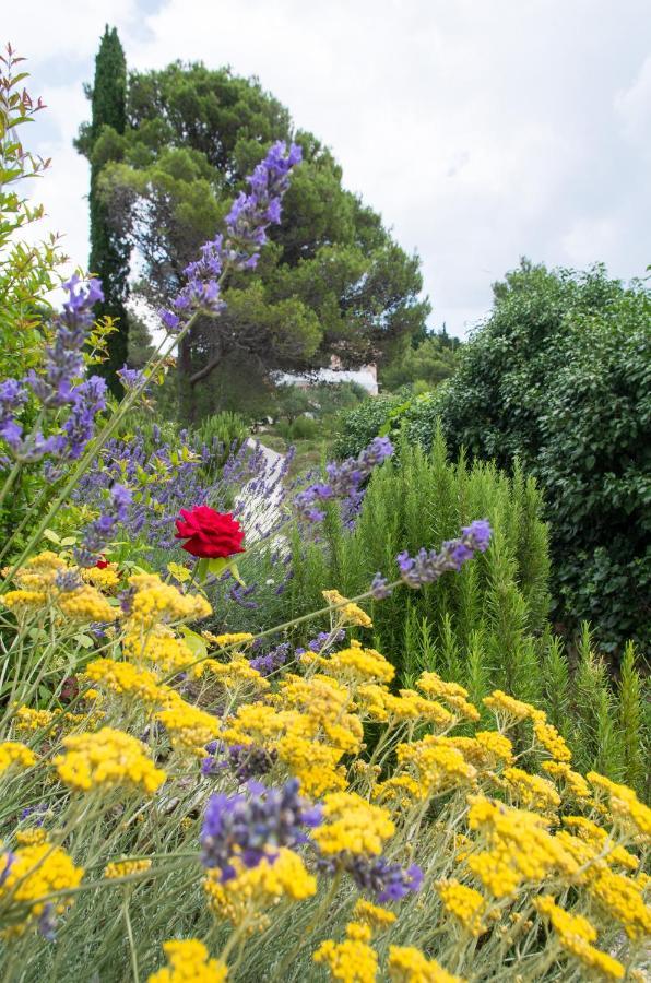 Milica Garden Appartement Prvic Sepurine Buitenkant foto