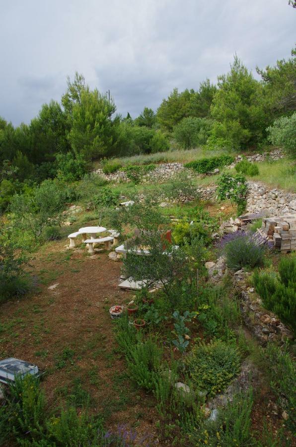 Milica Garden Appartement Prvic Sepurine Buitenkant foto